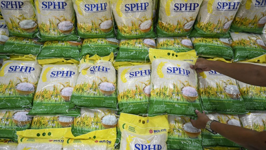 Benarkah Harga Beras Dunia 2024 Naik dan Langka, Ini Faktanya!