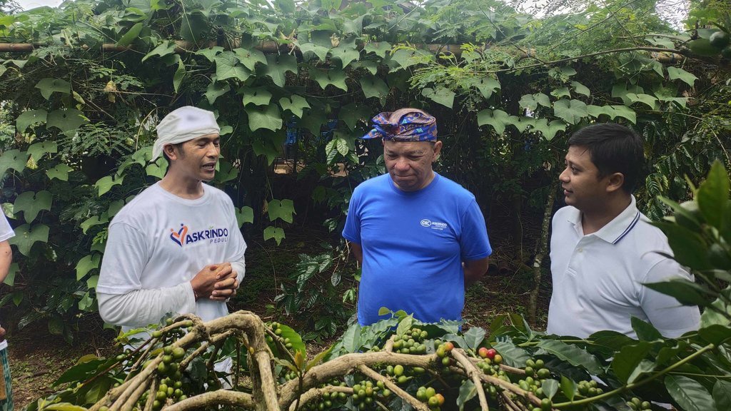 Asa Petani Kopi: Upaya Menopang Ekonomi & Mendobrak Ekspor