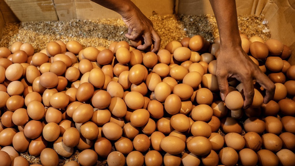 Jelang Ramadan Harga Pangan Naik, Pemerintah Tak Kunjung Belajar Jelang Ramadan Harga Pangan Naik, Pemerintah Tak Kunjung Belajar