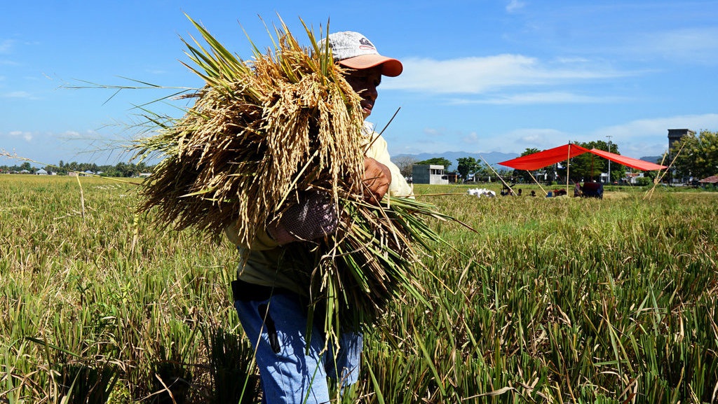 Alarm Bahaya Perubahan Iklim untuk Produk Pertanian Indonesia