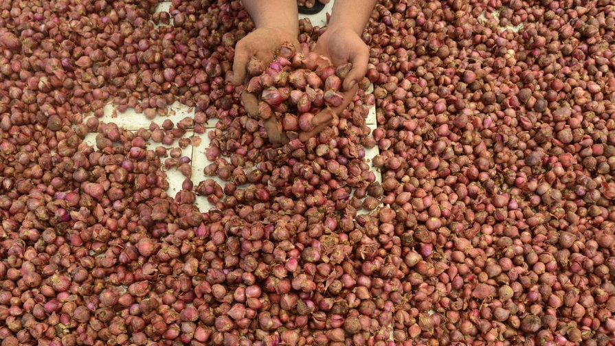 Petani Ngaku Tak Untung Meski Harga Bawang Merah Lagi Mahal