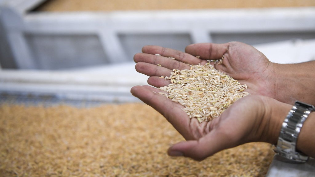 Petani Keluhkan Harga Beras Mahal tapi Gabah Dibeli Murah