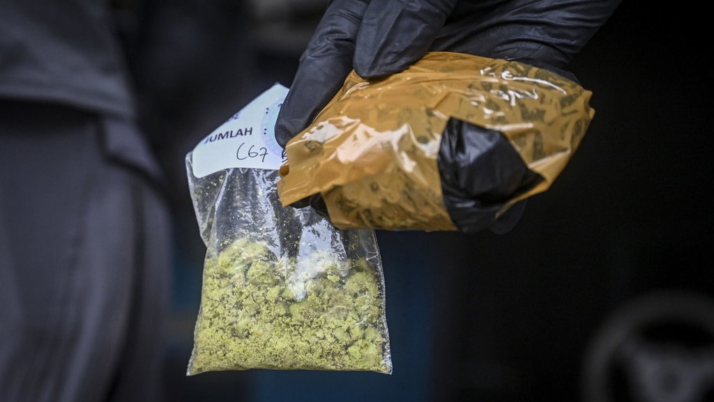 Polisi: Pabrik Narkoba di Malang Produksi 1,2 Ton Ganja Sinte Polisi: Pabrik Narkoba di Malang Produksi 1,2 Ton Ganja Sinte