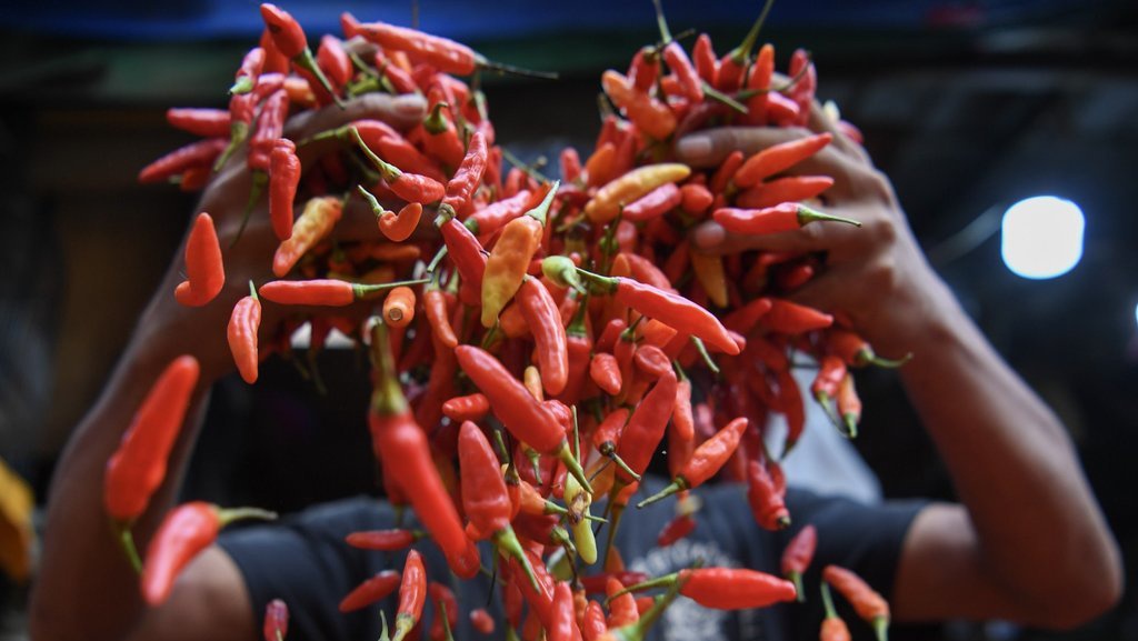 Harga Cabai yang Kian Pedas Butuh Solusi Inovatif & Hilirisasi