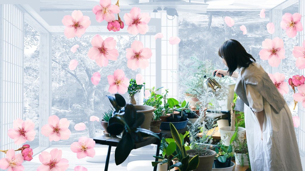 Wabi-sabi: Melihat Keindahan dari Ketidaksempurnaan