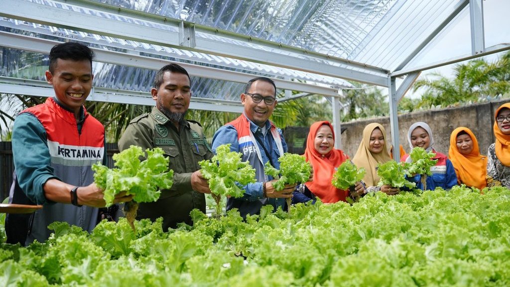 Pertamina Manfaatkan Energi Hijau untuk Komunitas Hidroponik Pertamina Manfaatkan Energi Hijau untuk Komunitas Hidroponik
