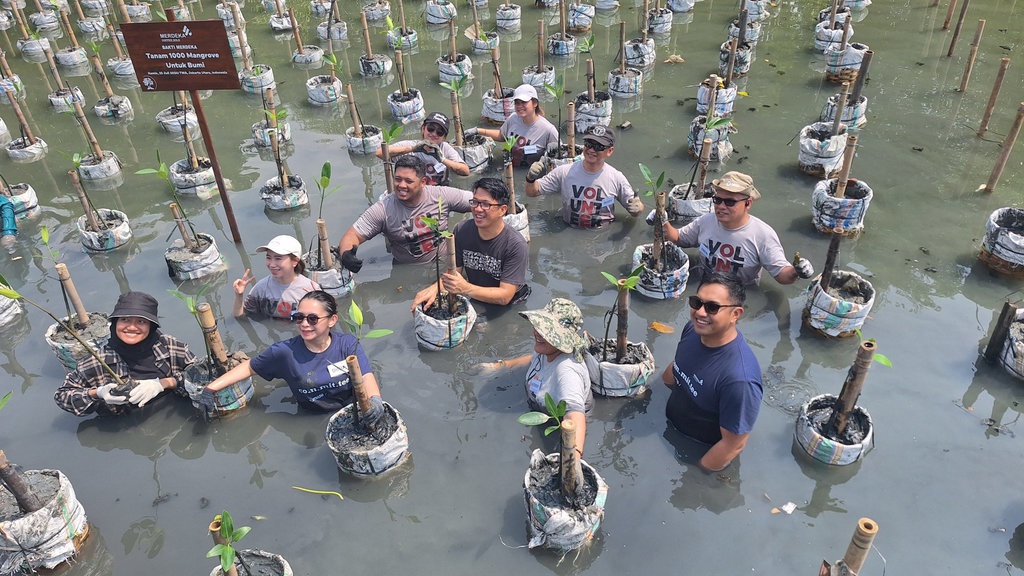 Kurangi Emisi Karbon, Merdeka Copper Gold Tanam 1.000 Mangrove