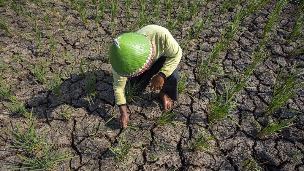 Prediksi Musim Kemarau 2025 di Indonesia, Kapan Hujan Berakhir? Prediksi Musim Kemarau 2025 di Indonesia, Kapan Hujan Berakhir?