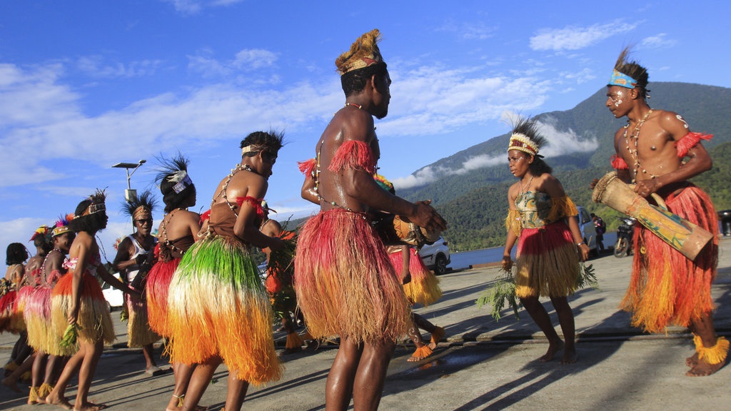 Benarkah Papua Tak Lagi Jadi Penonton Investasi di Era Jokowi? Benarkah Papua Tak Lagi Jadi Penonton Investasi di Era Jokowi?