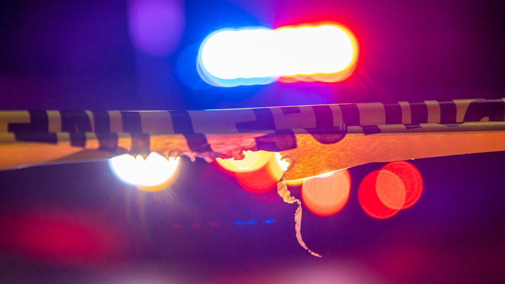 Nonton Film Mantis Sub Indo, Sinopsis, dan Link Streaming Nonton Film Mantis Sub Indo, Sinopsis, dan Link Streaming