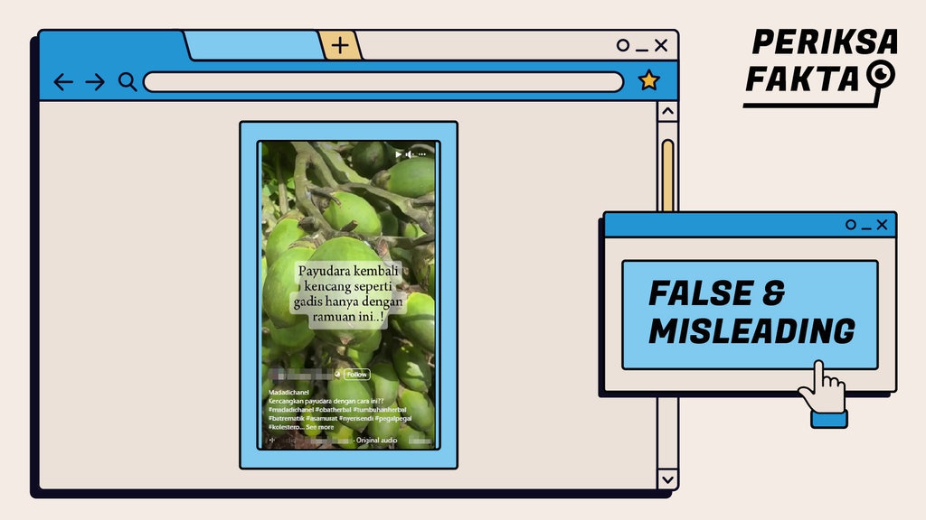 Apa Iya Pinang Muda Tumbuk Bisa Mengencangkan Payudara? Apa Iya Pinang Muda Tumbuk Bisa Mengencangkan Payudara?