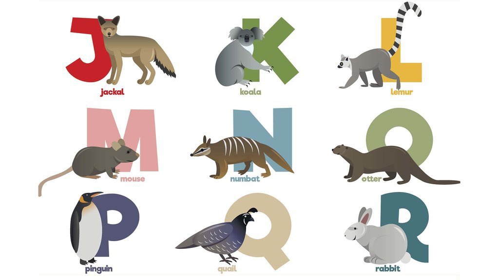 12 Hewan dari Huruf N, Keunikan, dan Ciri-cirinya 12 Hewan dari Huruf N, Keunikan, dan Ciri-cirinya