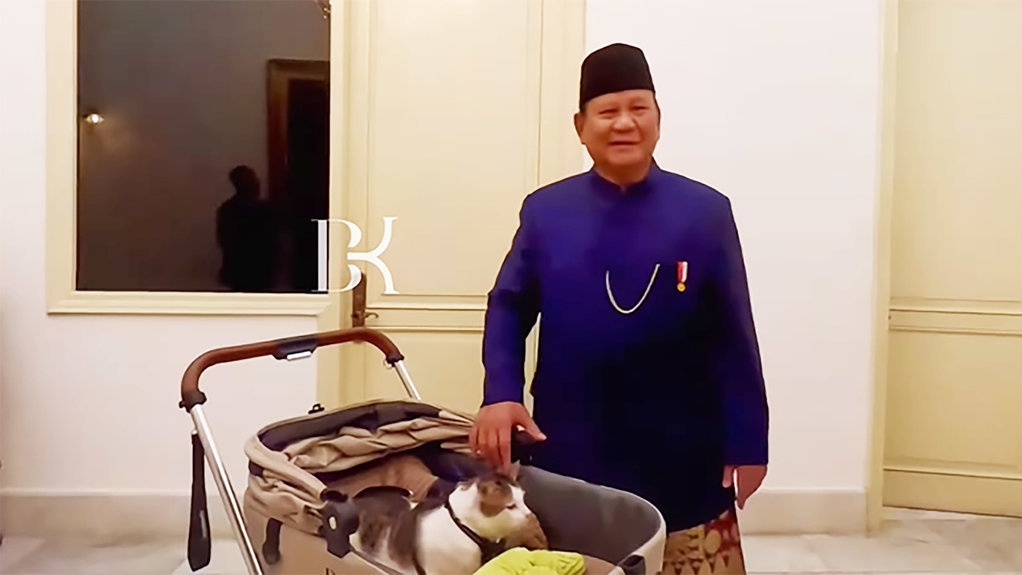 Jadi Kucing Negara, Bobby Kertanegara Menemani Prabowo di Istana Jadi Kucing Negara, Bobby Kertanegara Menemani Prabowo di Istana