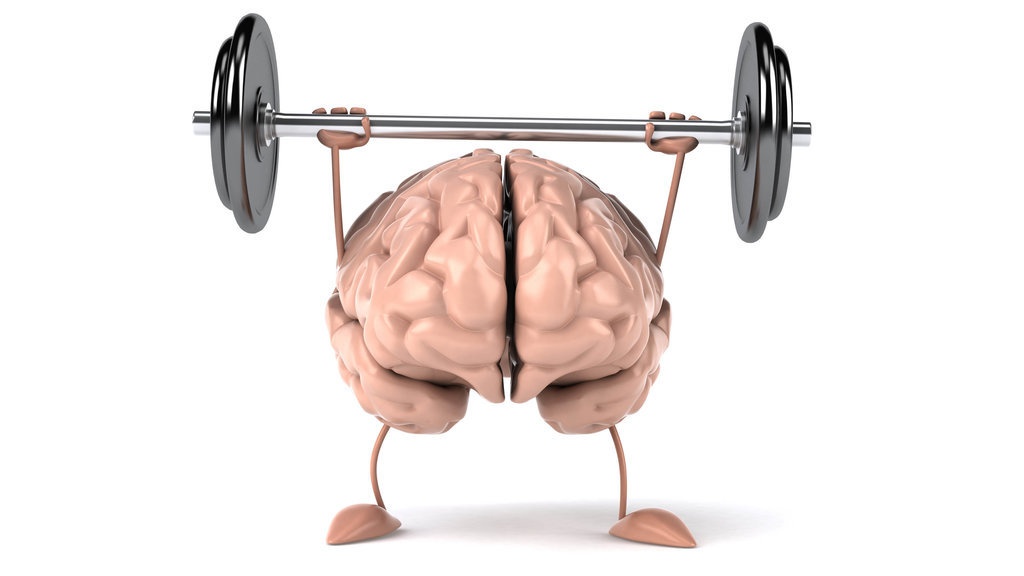 Apa itu Muscle Memory? Ini Cara Kerja dan Tips Melatihnya Apa itu Muscle Memory? Ini Cara Kerja dan Tips Melatihnya