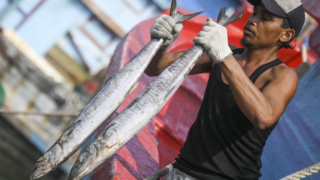 Ekspor Ikan RI Terancam Ditolak Pasar Global, Ini Sebabnya Ekspor Ikan RI Terancam Ditolak Pasar Global, Ini Sebabnya