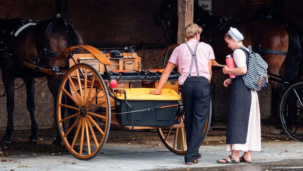 Siapa Kaum Amish & Benarkah Menangkan Trump di Pilpres AS 2024? Siapa Kaum Amish & Benarkah Menangkan Trump di Pilpres AS 2024?