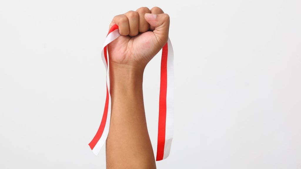 100+ Contoh Caption Hari Pahlawan 10 November 2025 untuk Sosmed 100+ Contoh Caption Hari Pahlawan 10 November 2025 untuk Sosmed