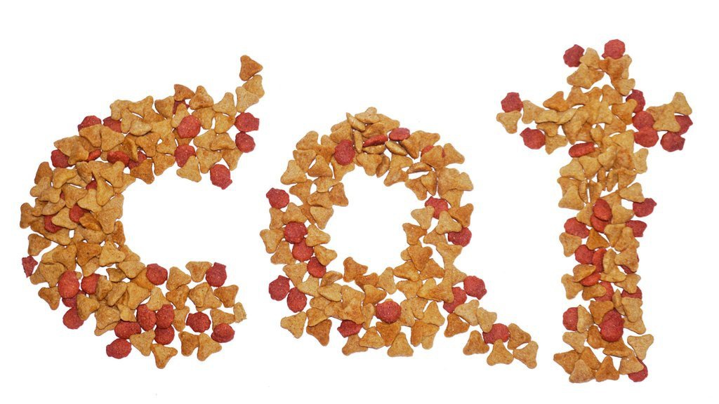 14 Rekomendasi Makanan Kucing yang Bagus dan Murah 14 Rekomendasi Makanan Kucing yang Bagus dan Murah