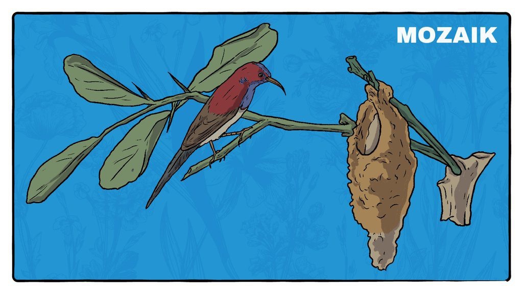 Ekspedisi dan Kematian Anggota Komisi Pengetahuan Hindia Belanda Ekspedisi dan Kematian Anggota Komisi Pengetahuan Hindia Belanda