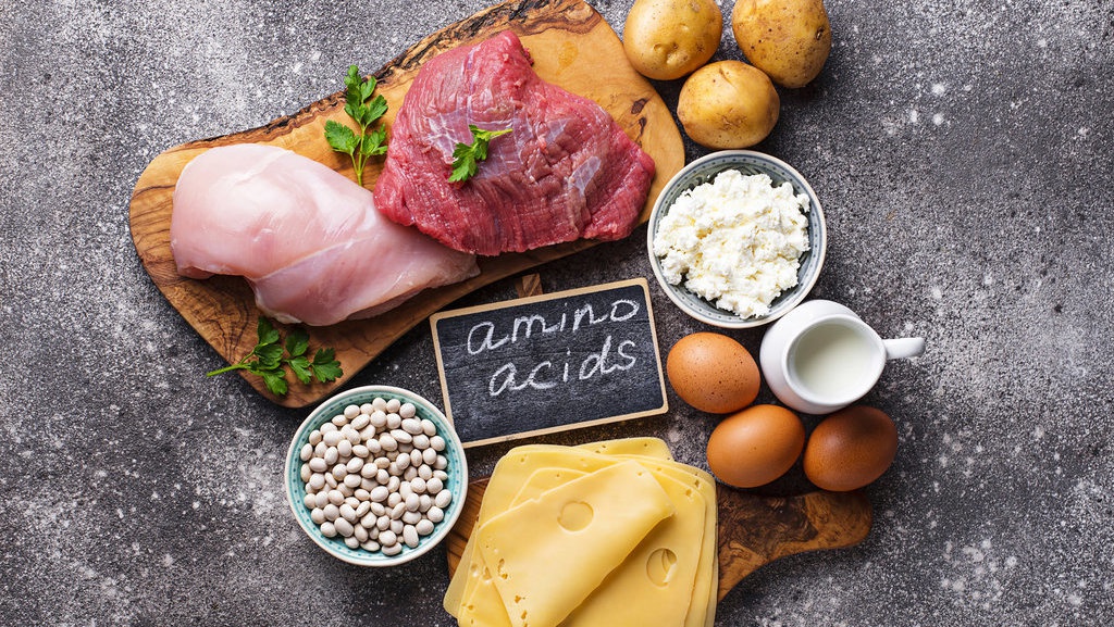 12 Makanan yang Mengandung Asam Amino untuk Tubuh 12 Makanan yang Mengandung Asam Amino untuk Tubuh
