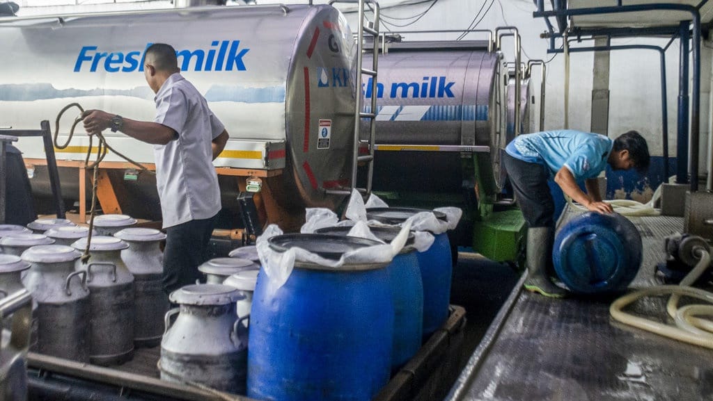 Aturan Koperasi Desa Merah Putih, Kegiatan, & Strategi Program