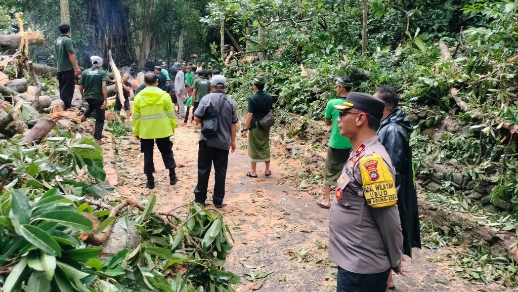 Objek Wisata Monkey Forest Tutup Sementara usai 2 WNA Meninggal