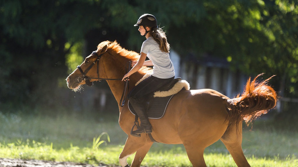 8 Manfaat Berkuda, Bisa Jadi Terapi Alami untuk Tubuh & Pikiran 8 Manfaat Berkuda, Bisa Jadi Terapi Alami untuk Tubuh & Pikiran
