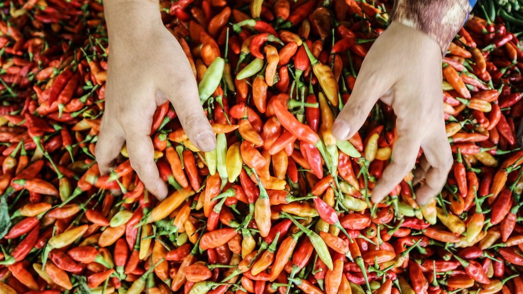 PIHPS: Harga Cabai Rp91.950 per Kg, Telur Rp29.450 per Kg PIHPS: Harga Cabai Rp91.950 per Kg, Telur Rp29.450 per Kg