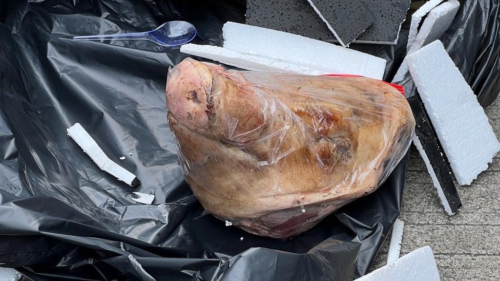 Teror Kepala Babi ke Tempo adalah Ancaman Kemerdekaan Pers Teror Kepala Babi ke Tempo adalah Ancaman Kemerdekaan Pers