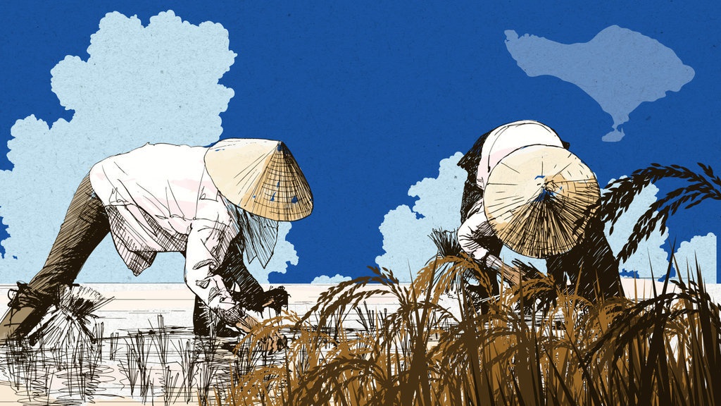 Subak di Bali, Tinggalan Era Kerajaan Jadi Warisan Budaya Dunia Subak di Bali, Tinggalan Era Kerajaan Jadi Warisan Budaya Dunia