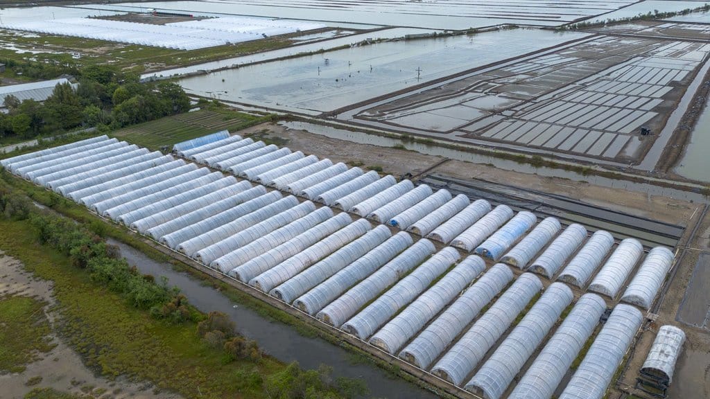 Pemerintah Beri Izin Impor Garam Industri Usai Terima Keluhan