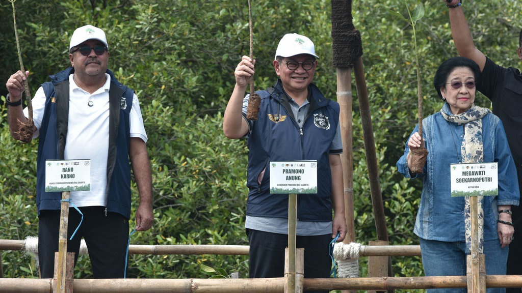 Megawati Dampingi Pramono Tanam Bibit Mangrove di Jakarta Utara