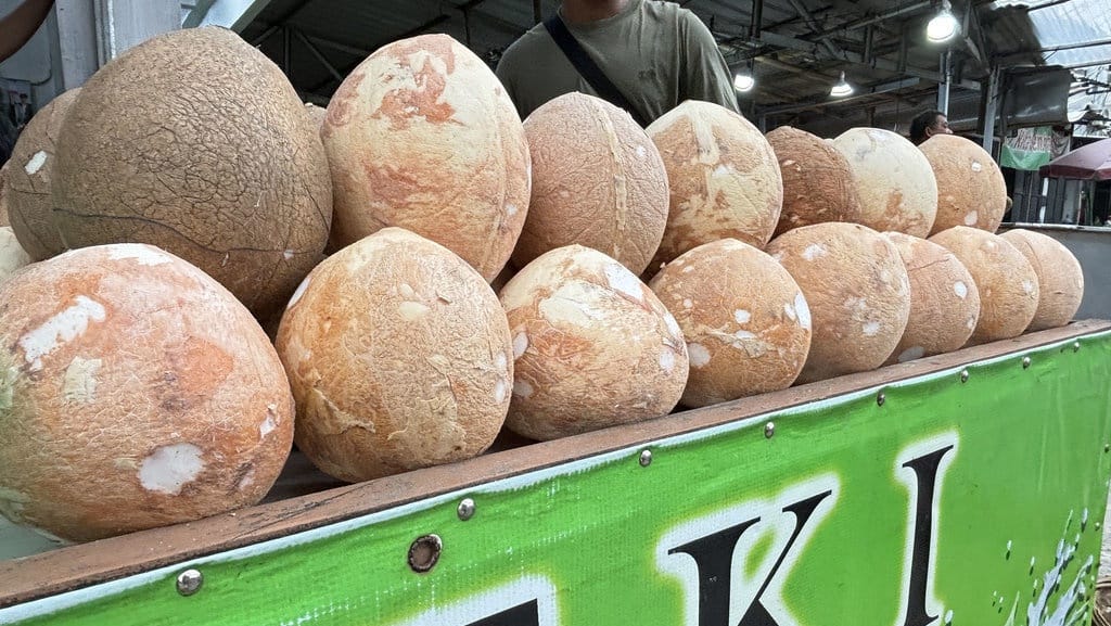 Masih Mahal, Kelapa di Pasar Sipon Tangerang Capai Rp25 Ribu Masih Mahal, Kelapa di Pasar Sipon Tangerang Capai Rp25 Ribu