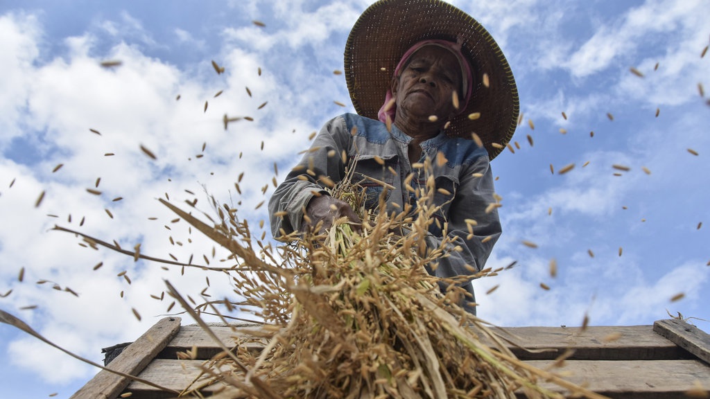 Waspada Ilusi Pertumbuhan Tinggi Sektor Pertanian Waspada Ilusi Pertumbuhan Tinggi Sektor Pertanian