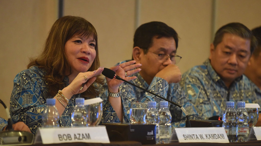 Apindo Ungkap Investasi di RI Makin Minim Serap Tenaga Kerja Apindo Ungkap Investasi di RI Makin Minim Serap Tenaga Kerja