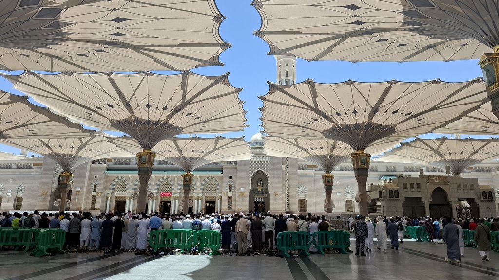 Jemaah Haji Diimbau Tak Kontak dengan Unta Cegah MERS-CoV Jemaah Haji Diimbau Tak Kontak dengan Unta Cegah MERS-CoV