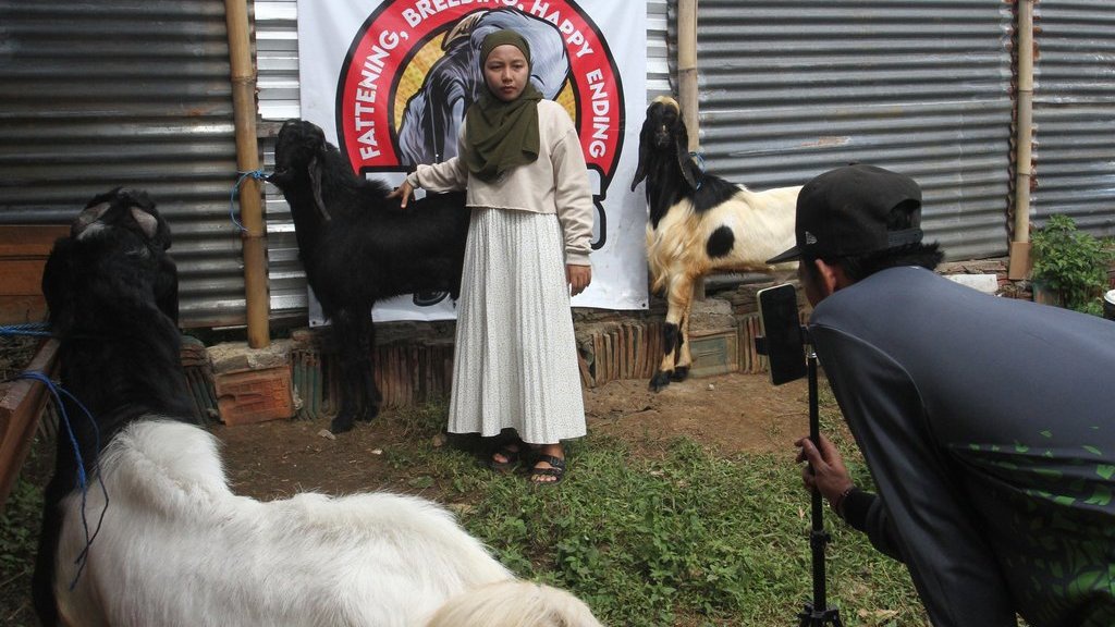 Strategi Bertahan Para Pedagang Kurban Hadapi Lesunya Penjualan