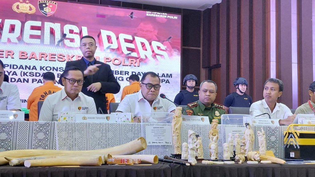 Bareskrim Polri Sita Barbuk Penjualan Gading Gajah Rp2,3 M