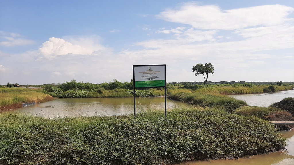 Benarkah Tanah Nganggur 2 Tahun Disita Negara? Ini Penjelasannya