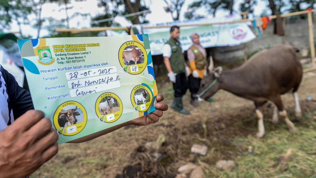 Cek Kesehatan Hewan Kurban Diperketat Jelang Idul Adha Cek Kesehatan Hewan Kurban Diperketat Jelang Idul Adha