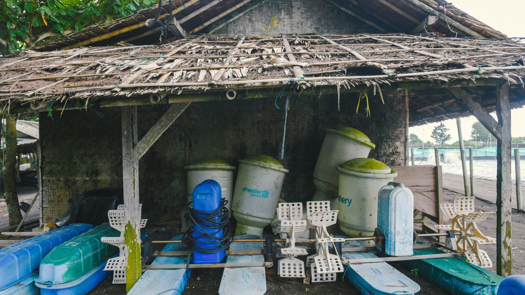 Bagaimana Skandal eFishery Merugikan Pembudidaya Ikan dan Udang Bagaimana Skandal eFishery Merugikan Pembudidaya Ikan dan Udang