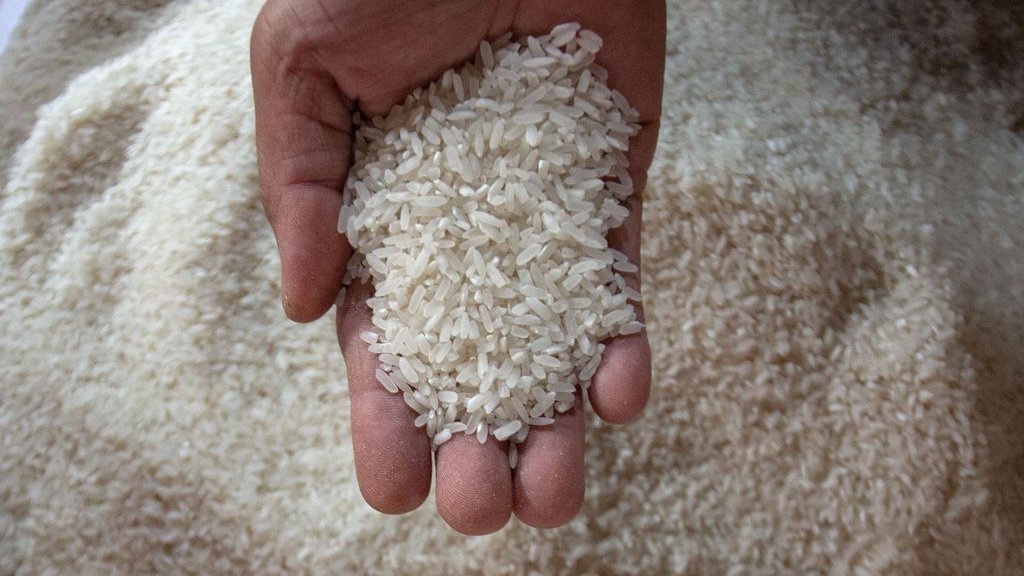 Polemik Beras Oplos dan Tak Sesuai Standar, Kenapa Bisa Terjadi?