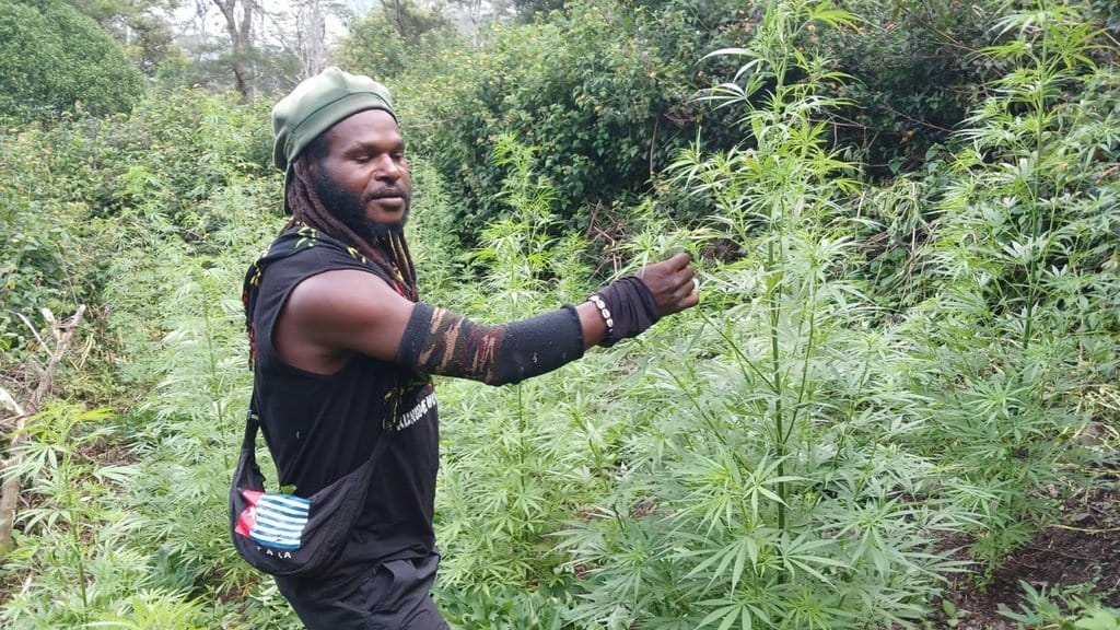 Satgas Damai Cartenz Tembak Mati 1 Anak Buah Egianus Kogoya