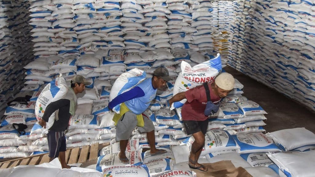 Cak Imin Sebut Prabowo Turun Tangan Atasi Kelangkaan Pupuk Cak Imin Sebut Prabowo Turun Tangan Atasi Kelangkaan Pupuk