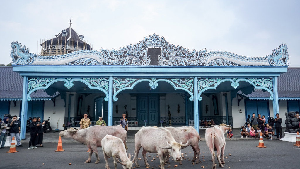 Tapa Bisu Malam Satu Suro, Khidmat Melangkah Tanpa Bicara Tapa Bisu Malam Satu Suro, Khidmat Melangkah Tanpa Bicara