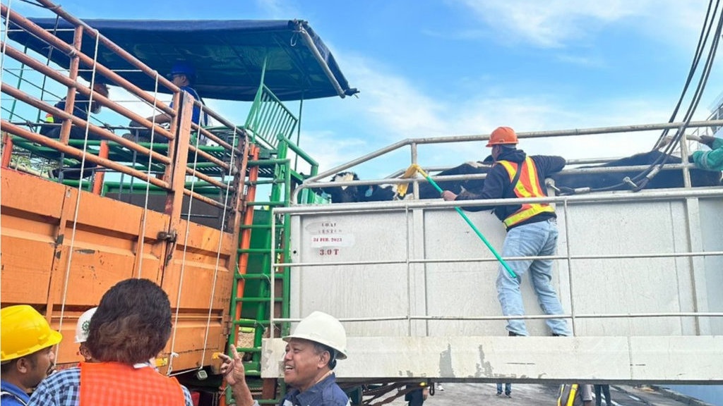 Pelindo Cilacap & Kementan Siap Bangun Instalasi Karantina Hewan Pelindo Cilacap & Kementan Siap Bangun Instalasi Karantina Hewan