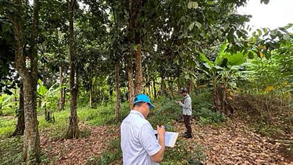 Kejagung Lelang 59 Tanah Milik Terpidana Jiwasraya Benny Tjokro Kejagung Lelang 59 Tanah Milik Terpidana Jiwasraya Benny Tjokro