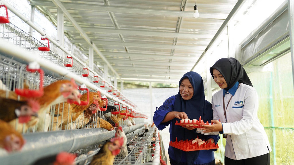 Menakar Langkah Danantara Masuk Bisnis Peternakan & Perkuat MBG