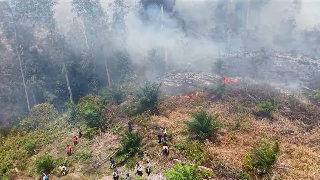 Menteri LH Sebut 29 Orang Jadi Tersangka Kebakaran Hutan di Riau
