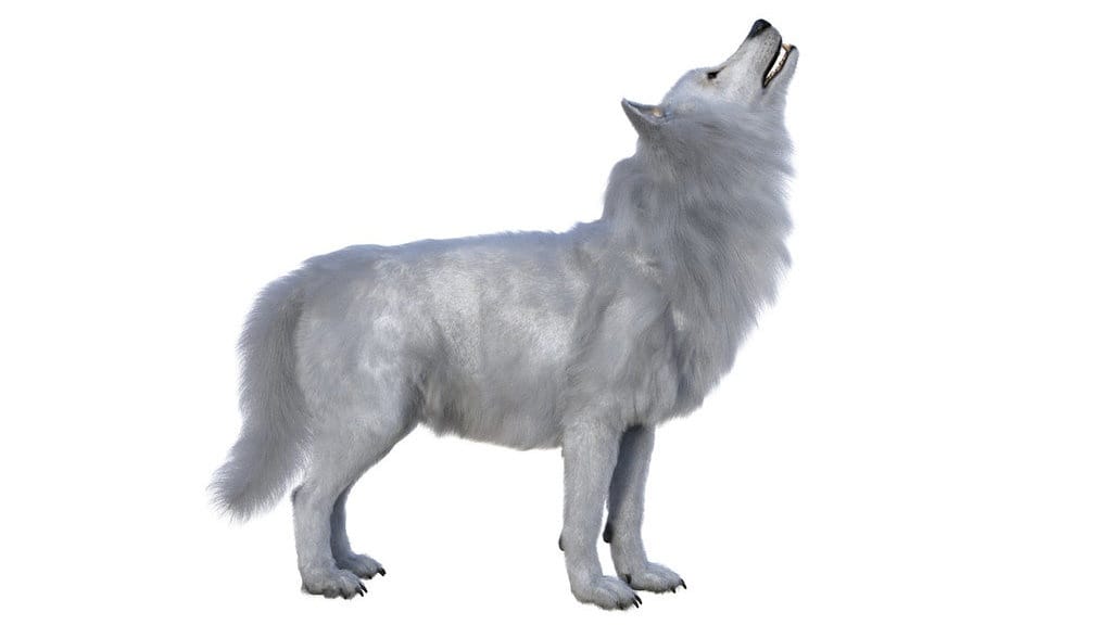 Membangkitkan Spesies Punah: Terobosan Ilmiah yang Kebablasan? Membangkitkan Spesies Punah: Terobosan Ilmiah yang Kebablasan?